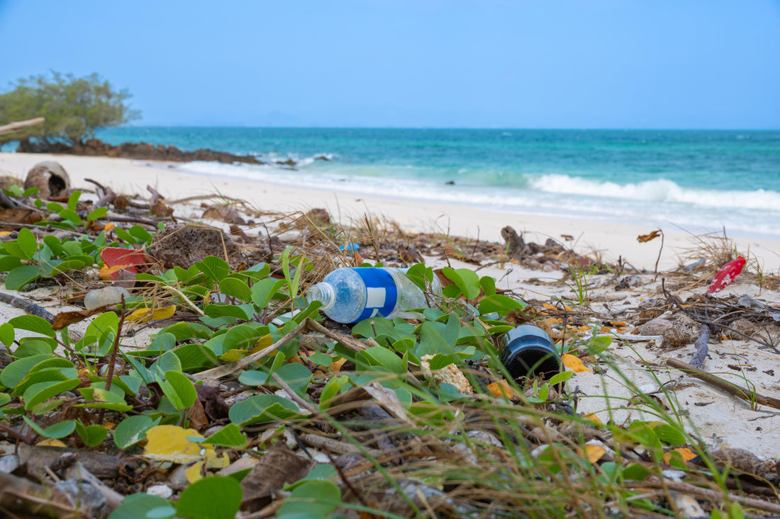 Plastic pollution in Thailand: a great problem, a greater solution.