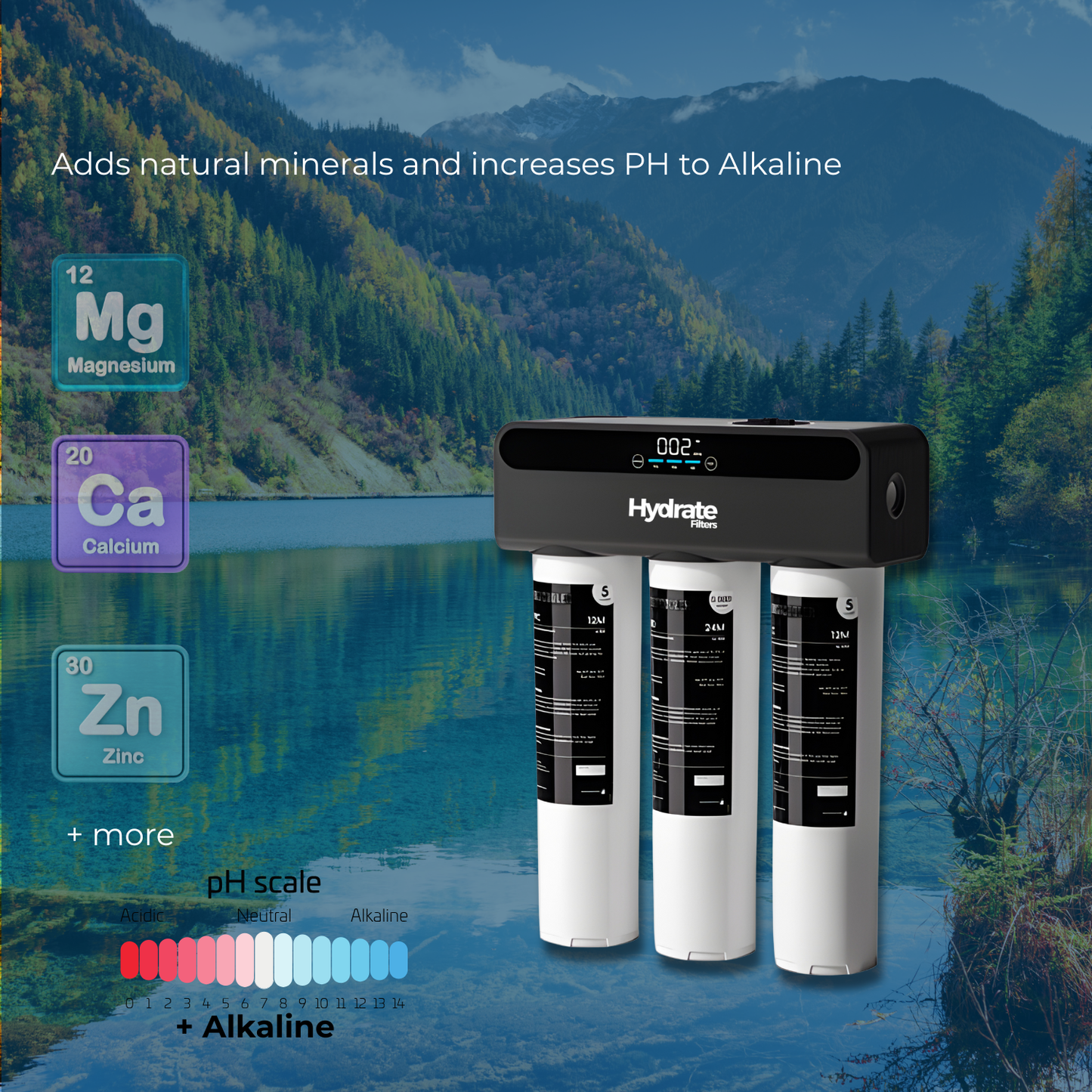 Reverse Osmosis Mineral + Alkaline